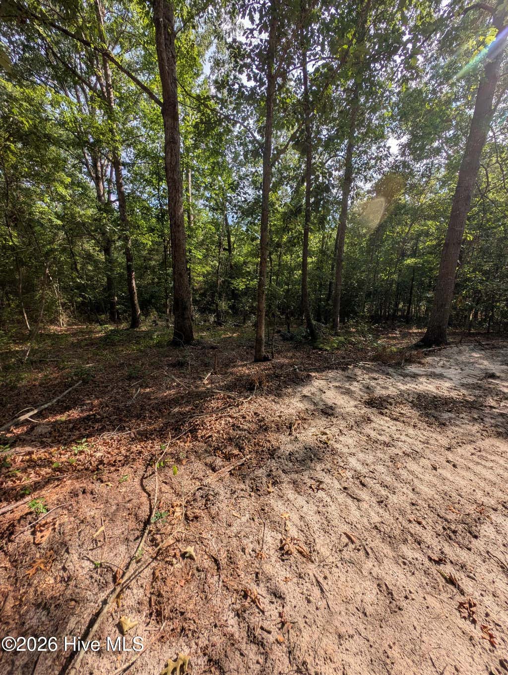 Photo of Tbd Peyton Drive, Eagle Springs, NC 27242 (MLS # 100591252)