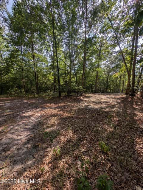 Vacant Land For Sale - TBD Peyton Drive<br/> Moore County, Eagle Springs, NC 27242