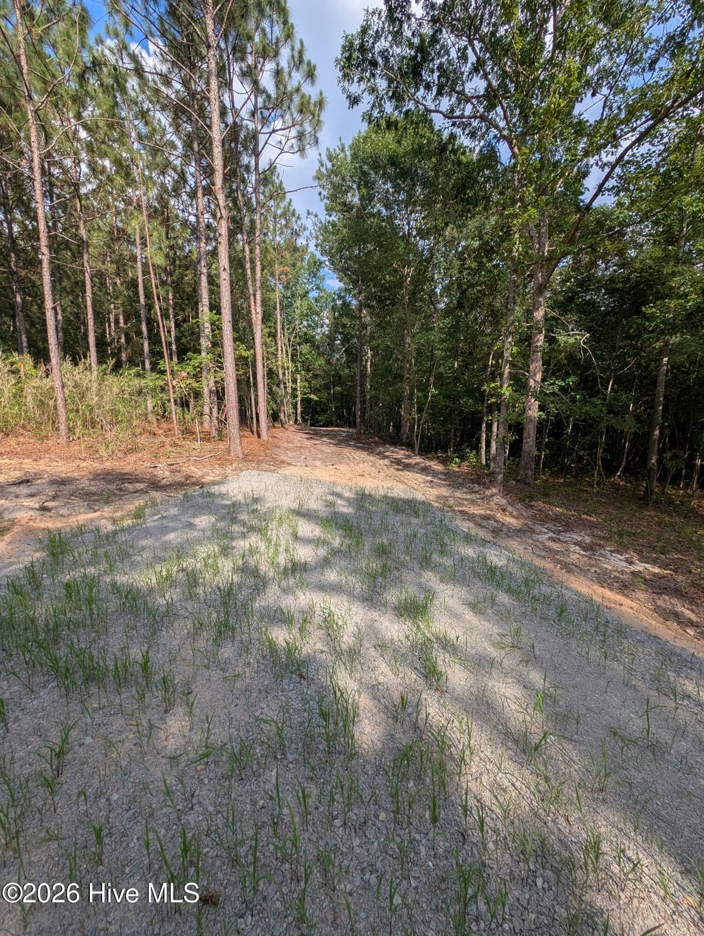 Photo of Tbd Peyton Drive, Eagle Springs, NC 27242 (MLS # 100591252)