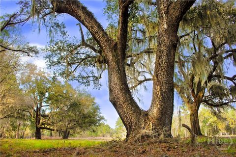 1 William's (36 lots 95 acres) Retreat Savannah GA 31419