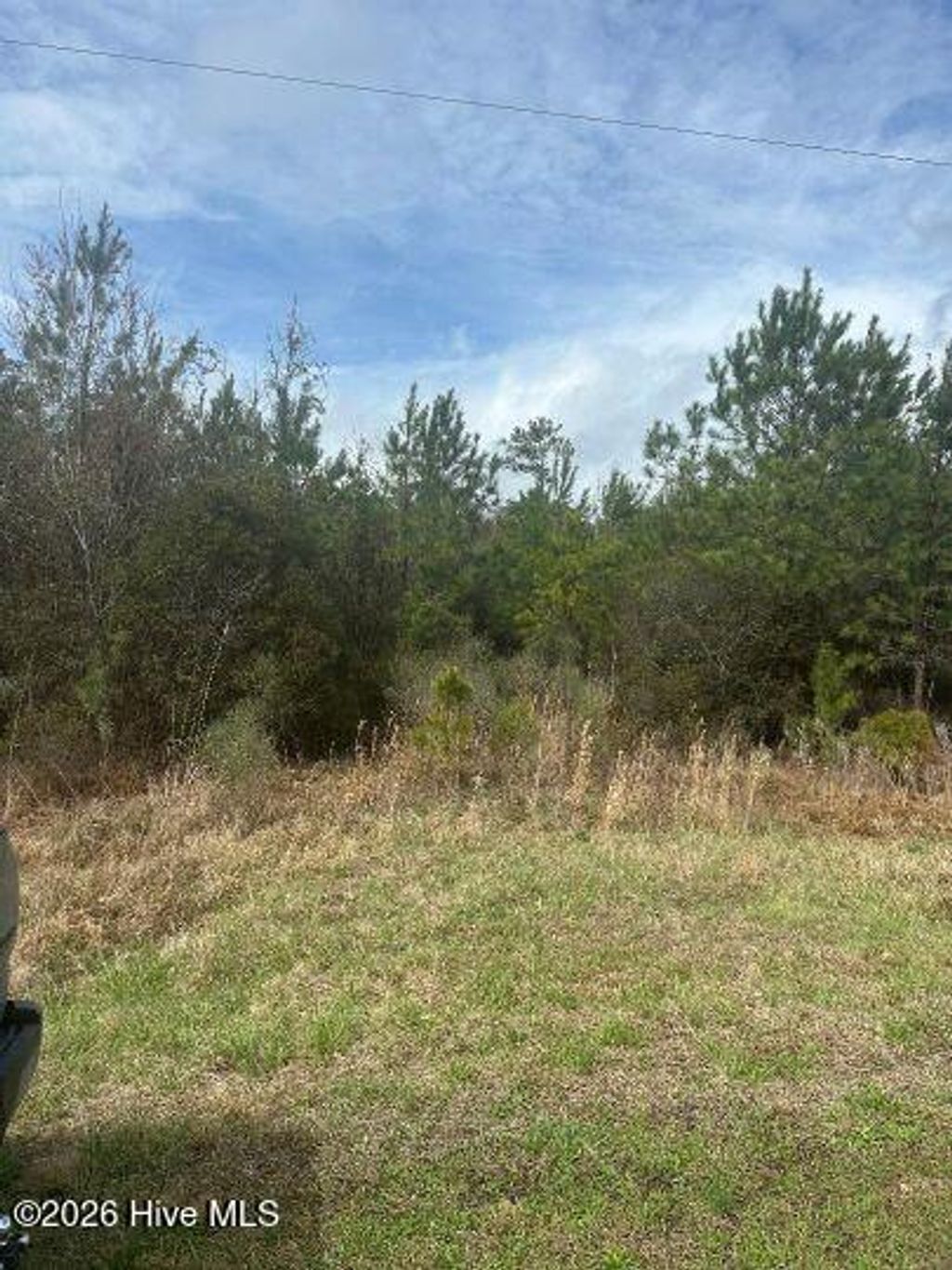 Photo of 0 Voa Site B Road, Grimesland, NC 27837 (MLS # 100560661)