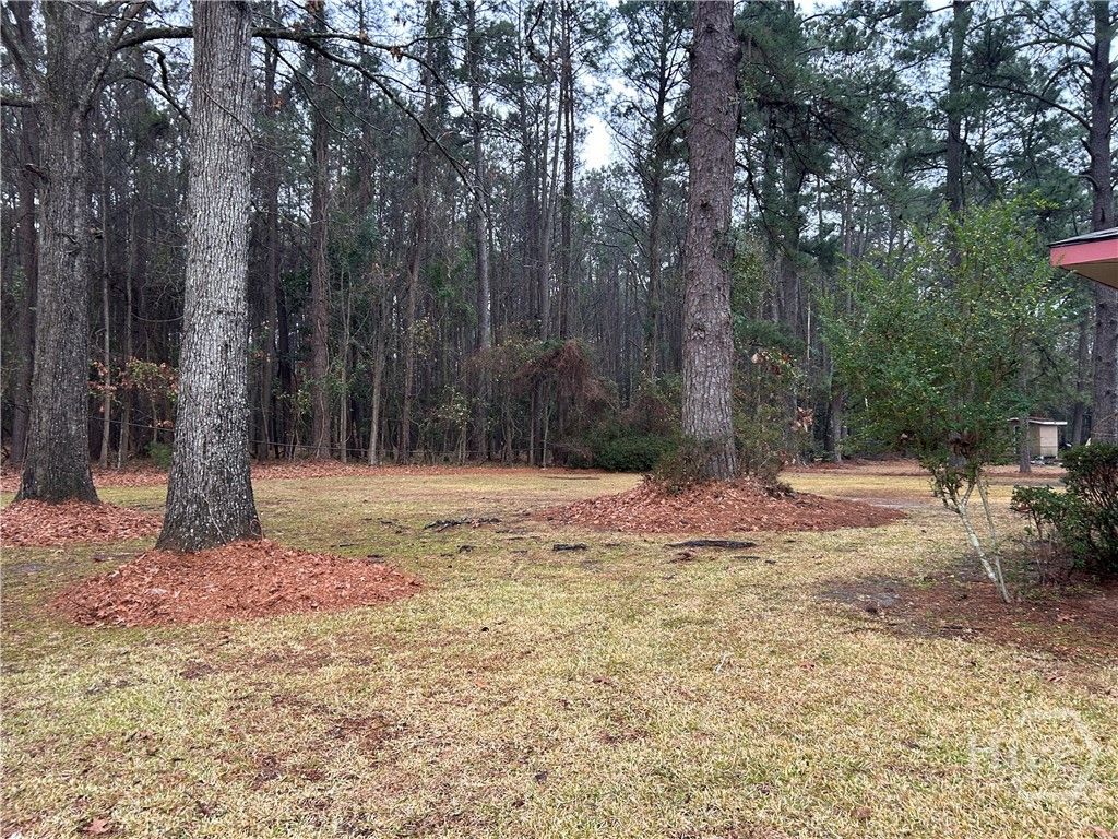 Photo of 110 Winding Way, Savannah, GA 31419 (MLS # SA349195)