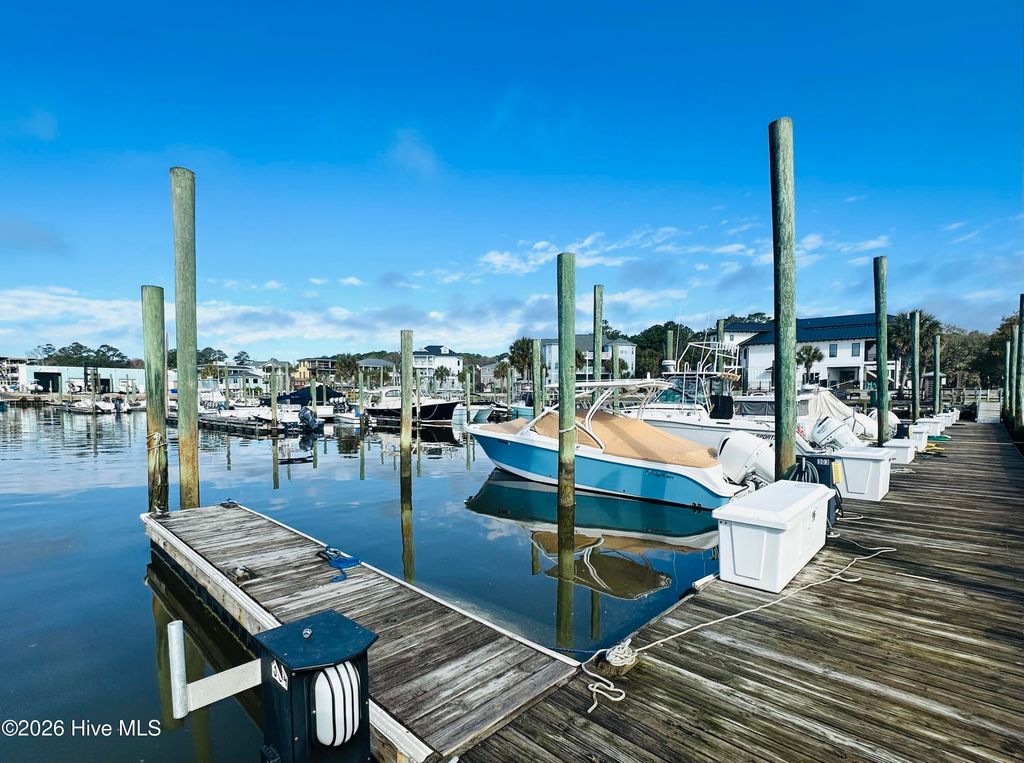 Photo of 801 Paoli Court #87, Wilmington, NC 28409 (MLS # 100559248)