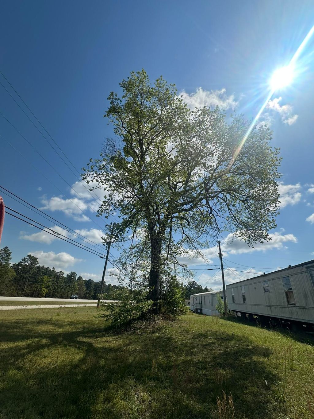 Photo of 2454 Tobacco Road, Hephzibah, GA 30815 (MLS # 554801)