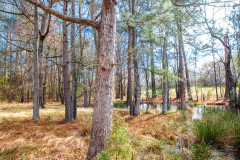 Vacant Land For Sale - LOT 7 Mistletoe Rd<br/> Appling, GA 30802
