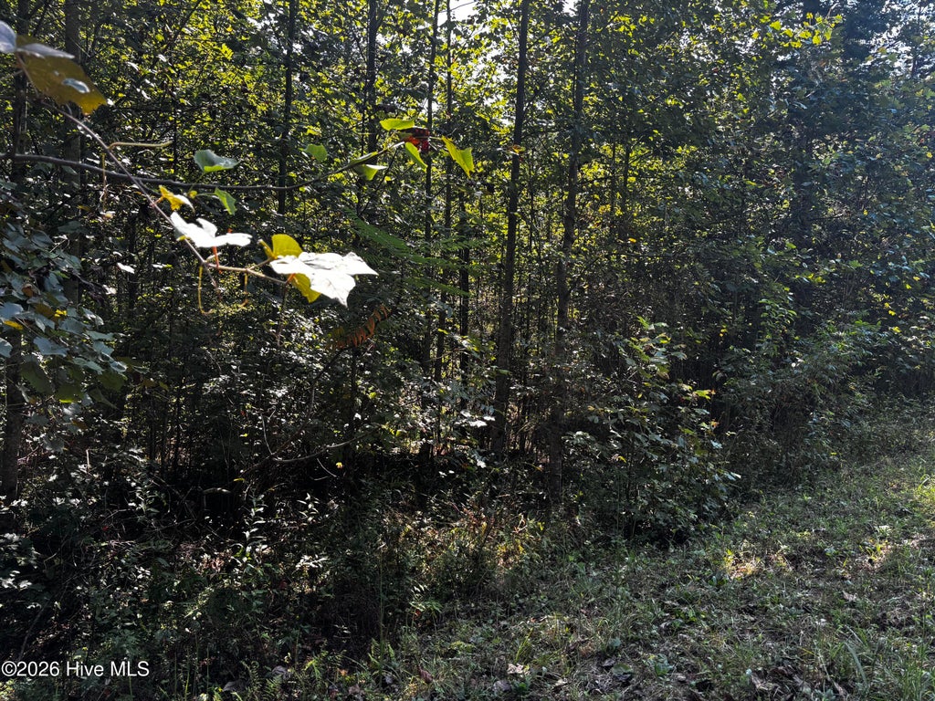 Photo of 00 Highland Ridge Trail, Murphy, NC 28906 (MLS # 100605503)