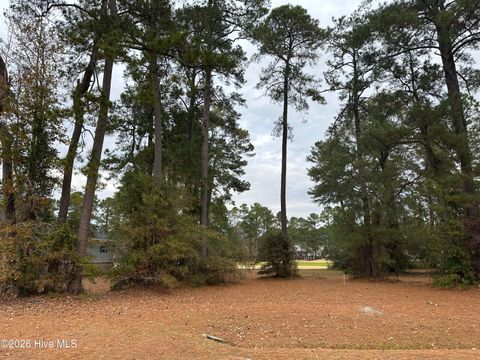 Photo of 466 S Middleton Drive NW, Calabash, NC 28467 (MLS # 100551449)