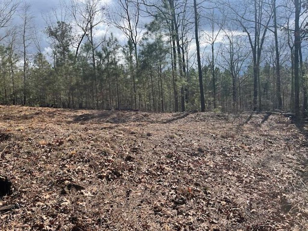 Photo of 1578 Treasure Cove, Tignall, GA 30668 (MLS # 552856)