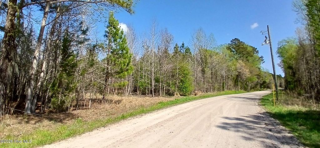 Photo of 73 Wood Landing Road, Grantsboro, NC 28529 (MLS # 100567247)