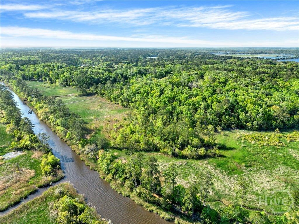 Photo of 160 Sterling Creek Point, Richmond Hill, GA 31324 (MLS # SA353314)