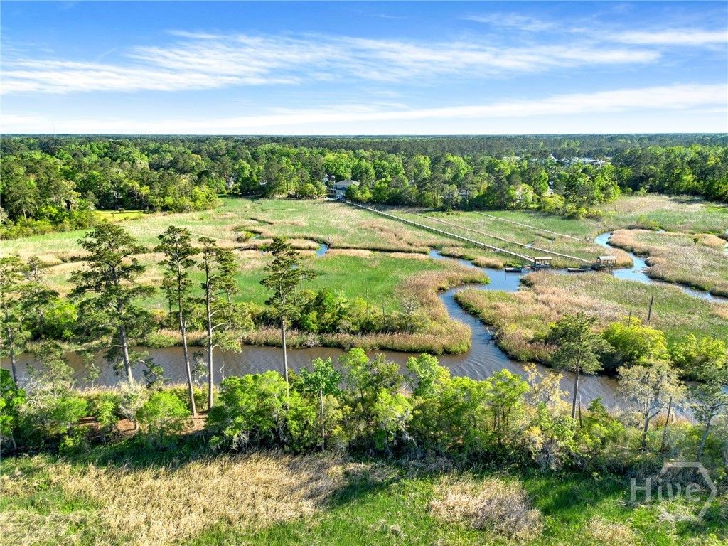 Photo of 160 Sterling Creek Point, Richmond Hill, GA 31324 (MLS # SA353314)