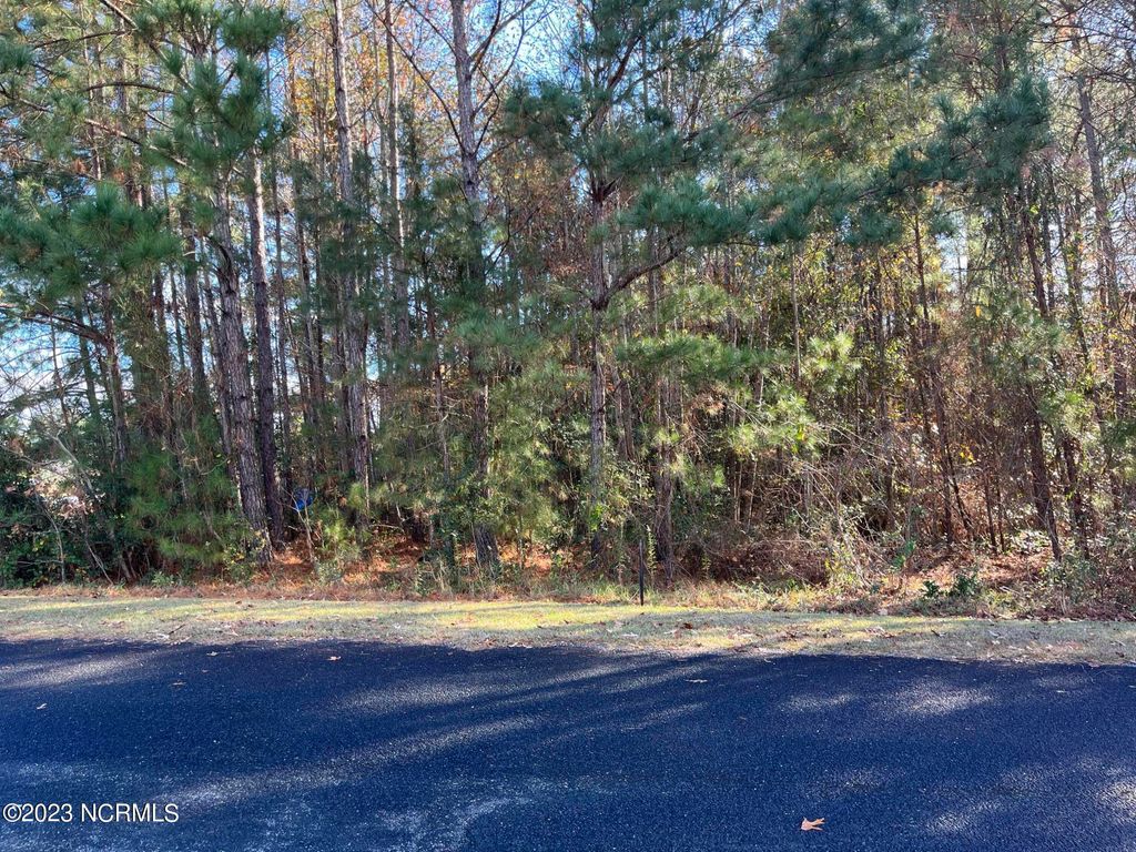 Photo of 1894 Sunset Cove Rd. Se Drive SE, Bolivia, NC 28422 (MLS # 100418080)