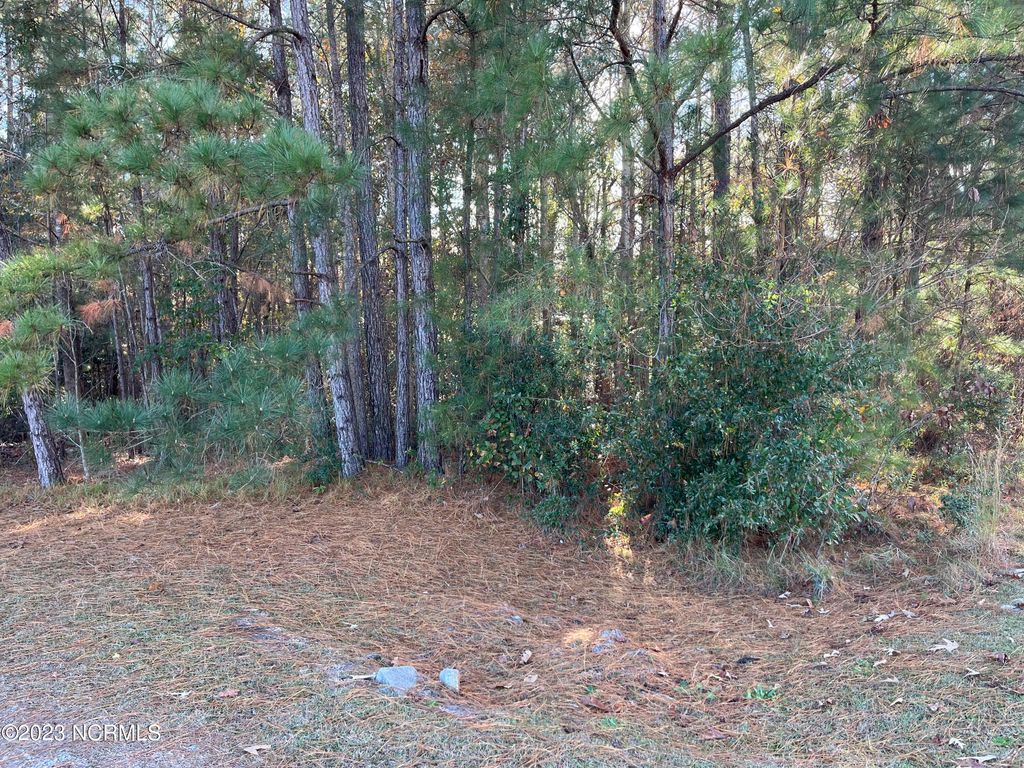 Photo of 1894 Sunset Cove Rd. Se Drive SE, Bolivia, NC 28422 (MLS # 100418080)
