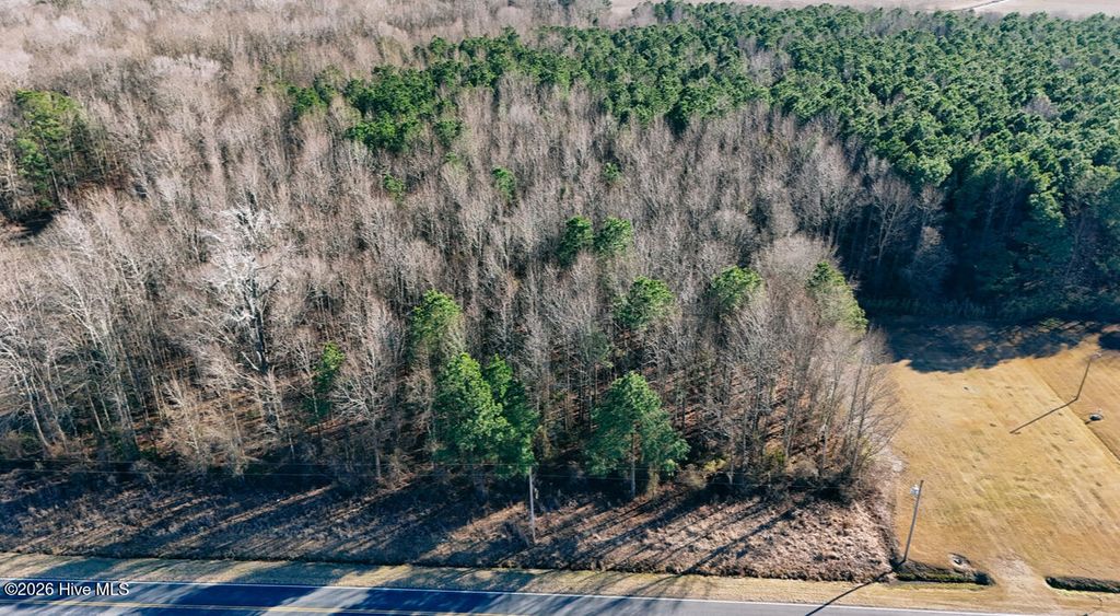 Photo of 0 Center Hill Highway, Hertford, NC 27944 (MLS # 100577059)