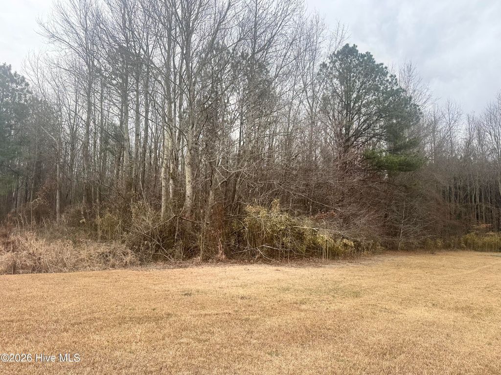 Photo of 0 Center Hill Highway, Hertford, NC 27944 (MLS # 100577059)