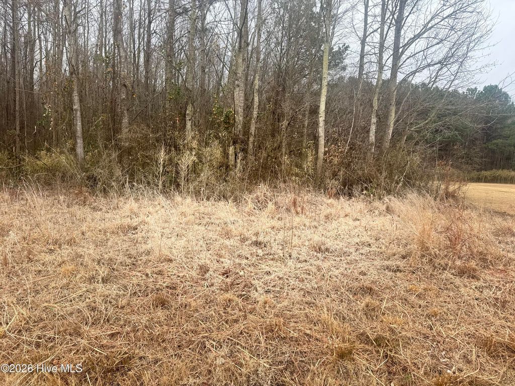 Photo of 0 Center Hill Highway, Hertford, NC 27944 (MLS # 100577059)