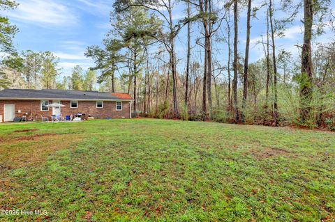 Tiny photo for 1010 New Road, Burgaw, NC 28425 (MLS # 100560145)