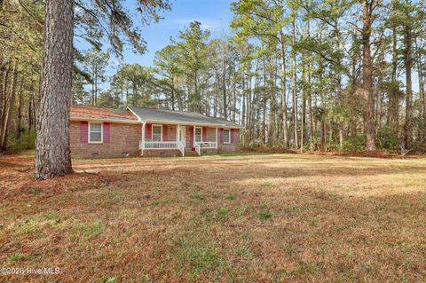 Tiny photo for 1010 New Road, Burgaw, NC 28425 (MLS # 100560145)