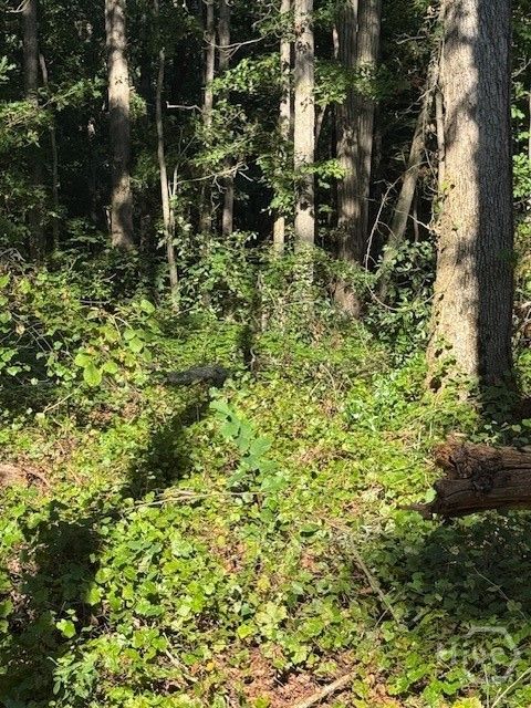 Vacant Land For Sale - Rita Ridge #LOT 5<br/> Jefferson, GA 30549