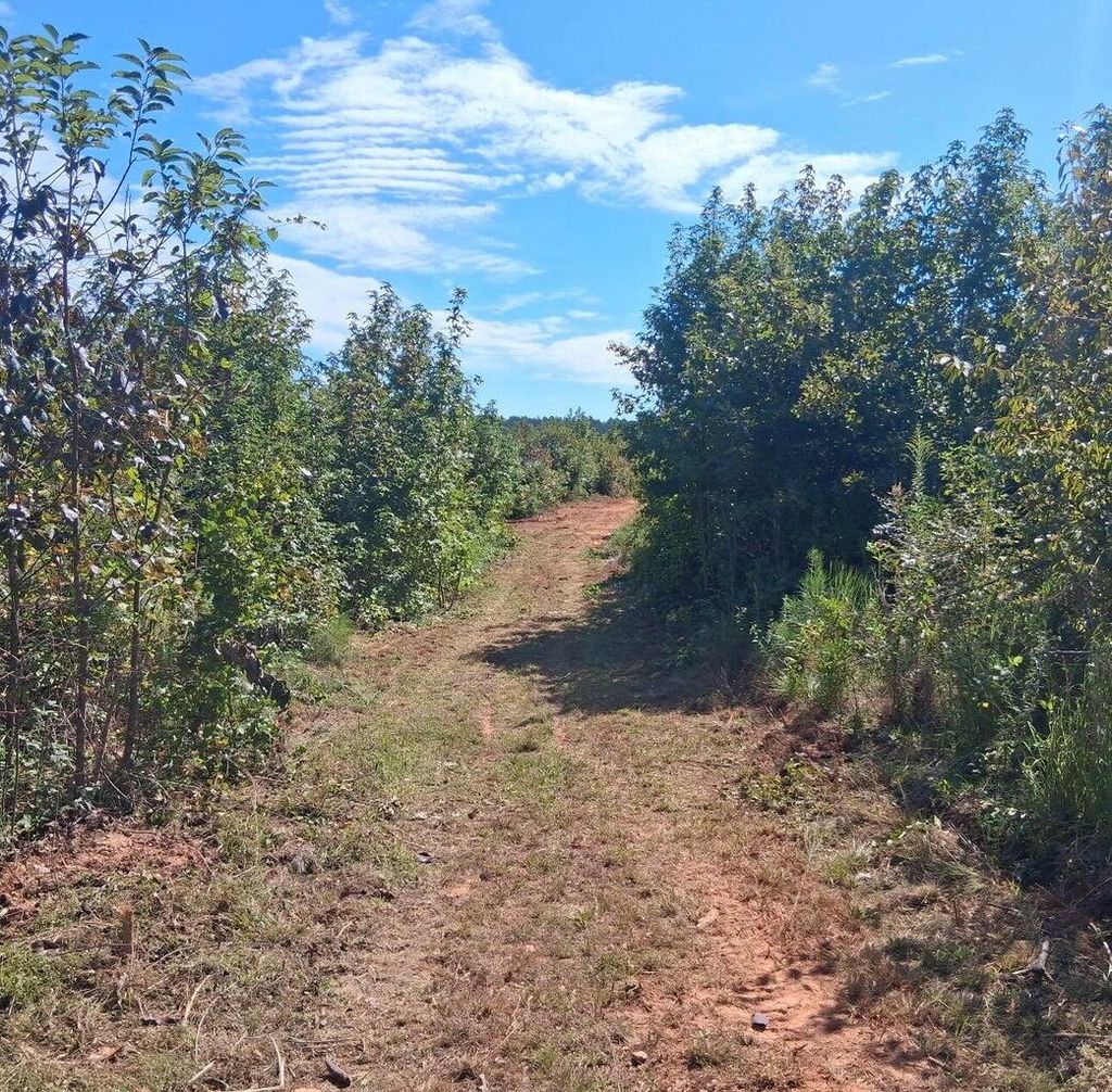 Photo of 3 Bowie Road, Troy, SC 29848 (MLS # 551003)