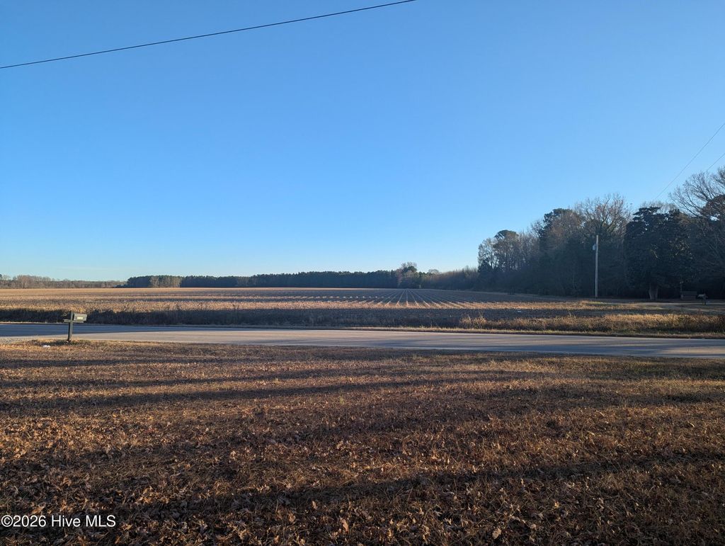 Photo of 16970 Carolina 561, Halifax, NC 27839 (MLS # 100572489)