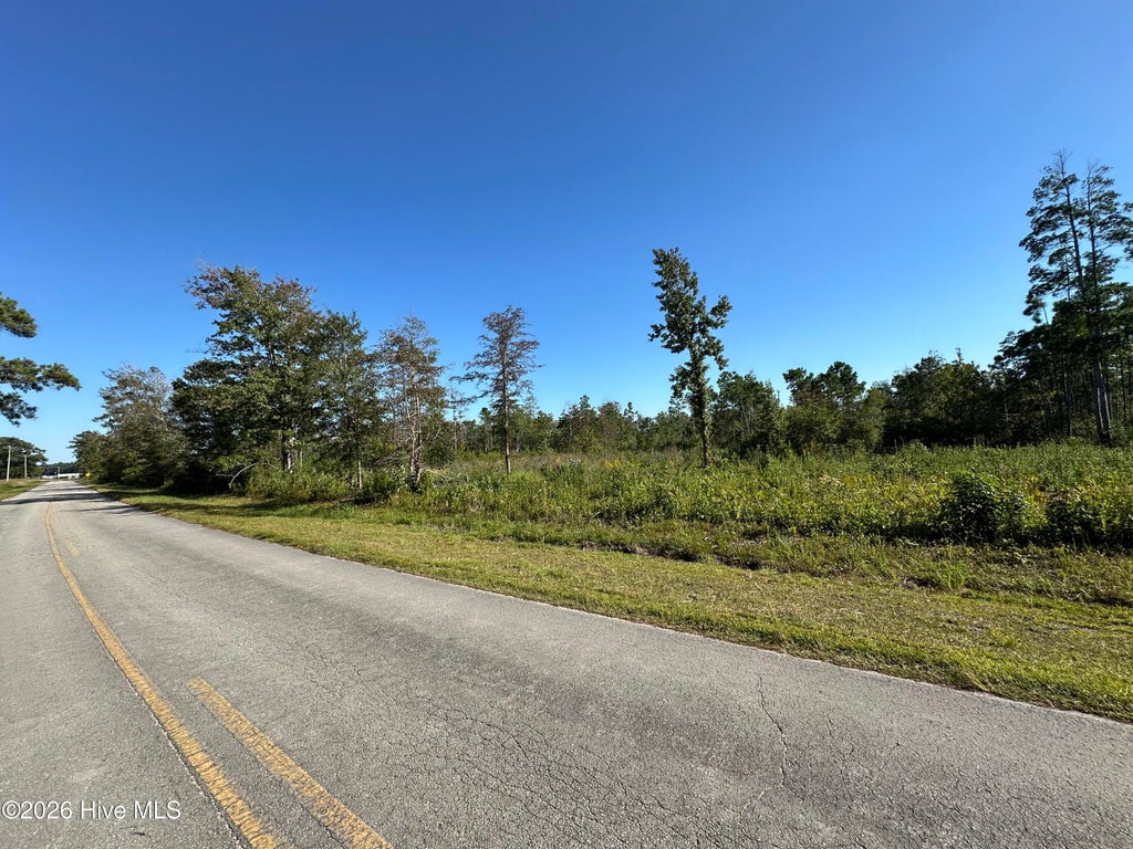 Photo of 000 Willis Farm Tract-3 Road, Newport, NC 28570 (MLS # 100606869)