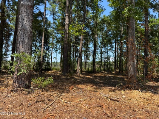 1 6 4102, FAIR BLUFF, NC 28439 - Image 4c33c5e1b10aeeef489e37cfb41d0e99/2827790670