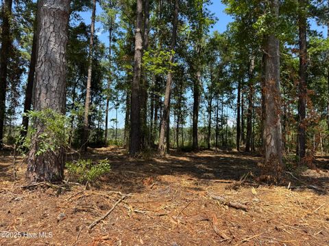 Vacant Land For Sale - LOT 6 Near 4102 Swamp Fox Highway<br/> Columbus County, Tabor City, NC 28463