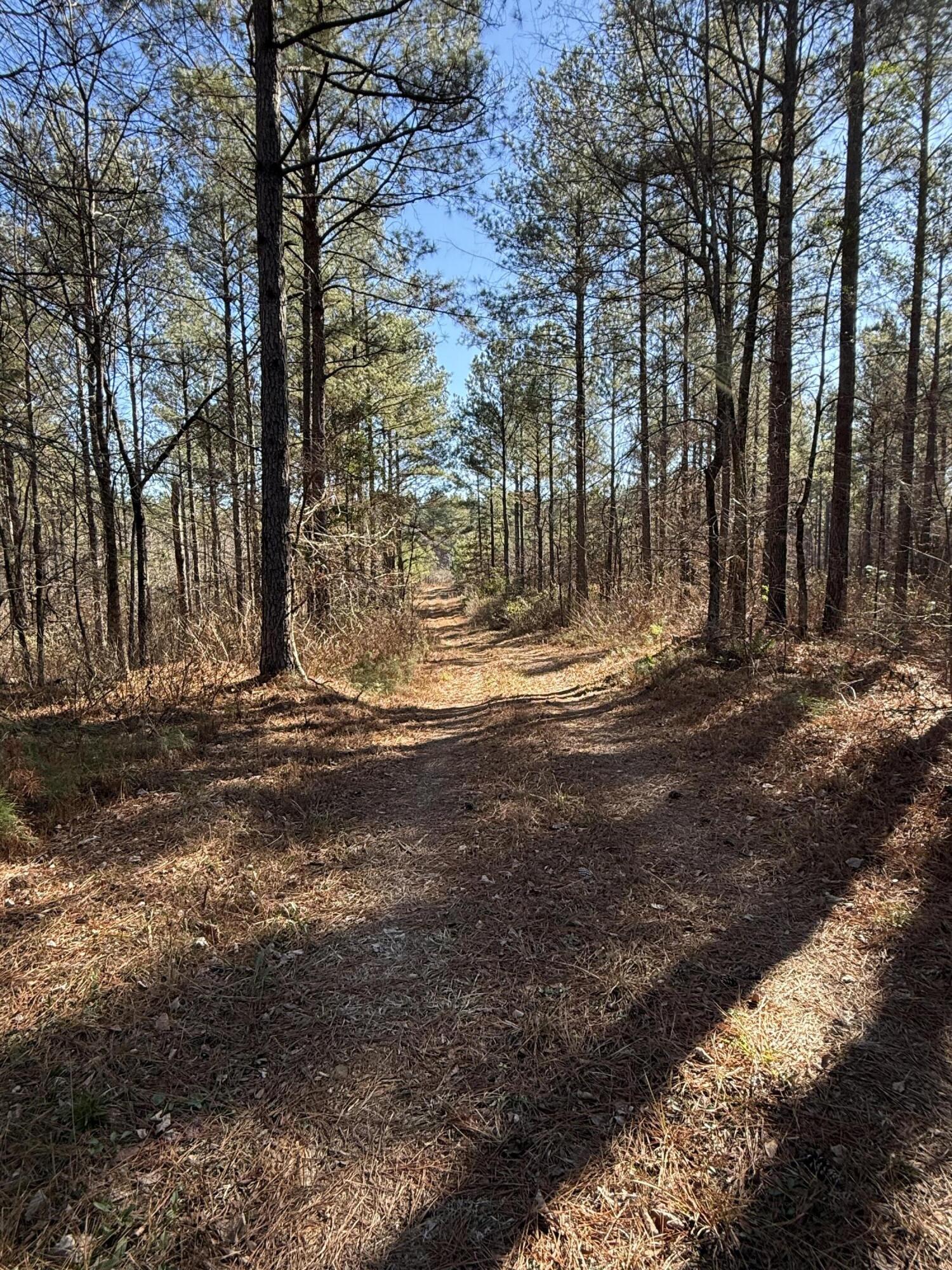 0 L R White Road