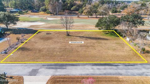 Photo of 1352 Hewett Farms Road SW, Shallotte, NC 28470 (MLS # 100545313)