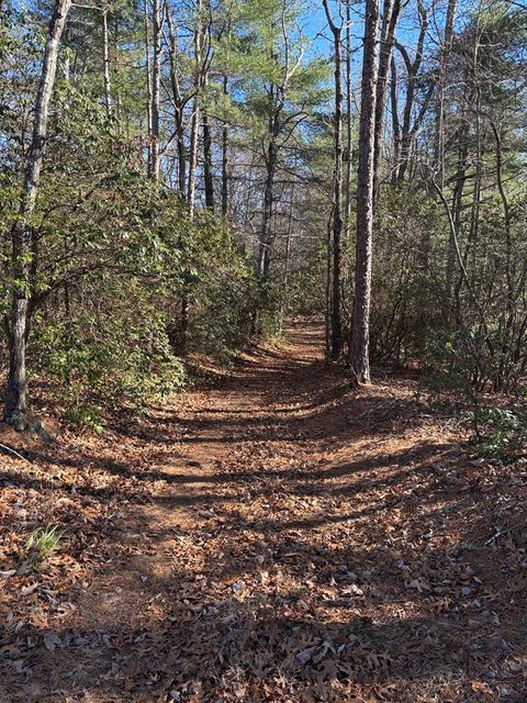 Vacant Land For Sale - LOT 61 Thundering Hill<br/> Murphy, NC 28906