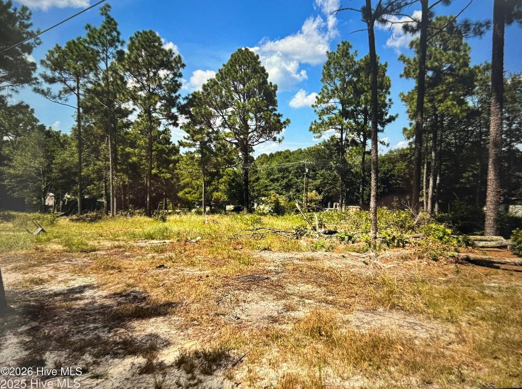 Photo of 000 Wiregrass Road, Hamlet, NC 28345 (MLS # 100565450)