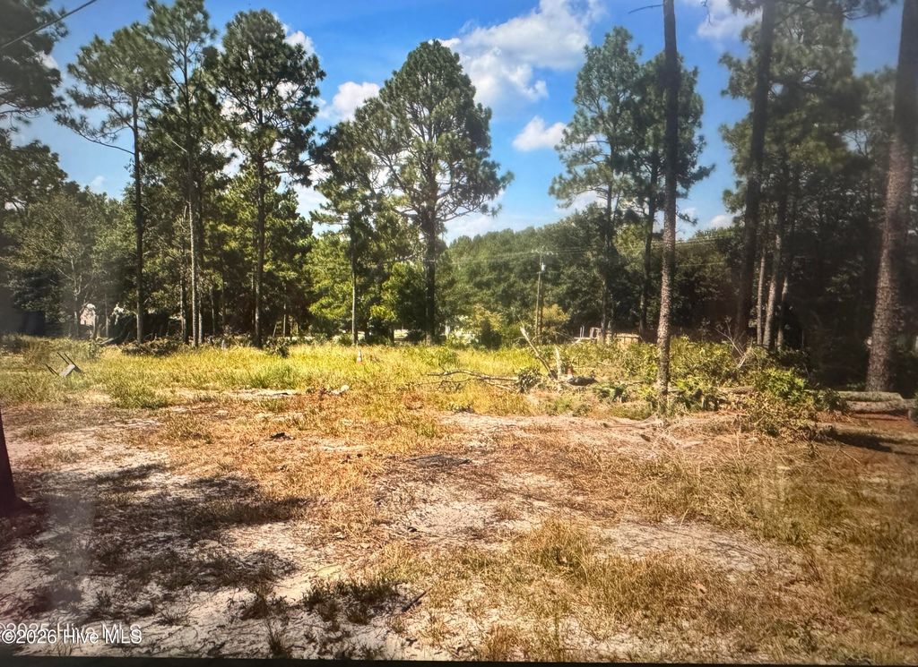 Photo of 000 Wiregrass Road, Hamlet, NC 28345 (MLS # 100565450)