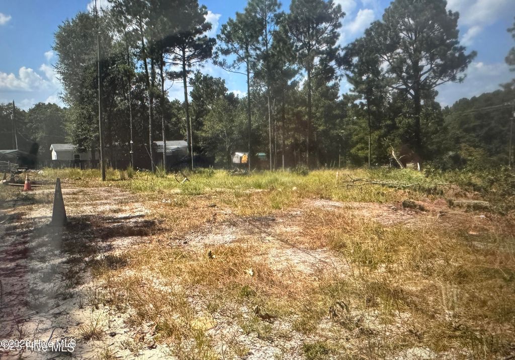 Photo of 000 Wiregrass Road, Hamlet, NC 28345 (MLS # 100565450)