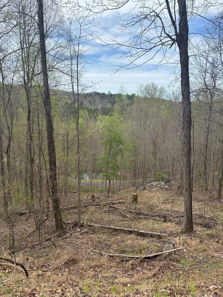 Lot 4 Buck Ridge Drive