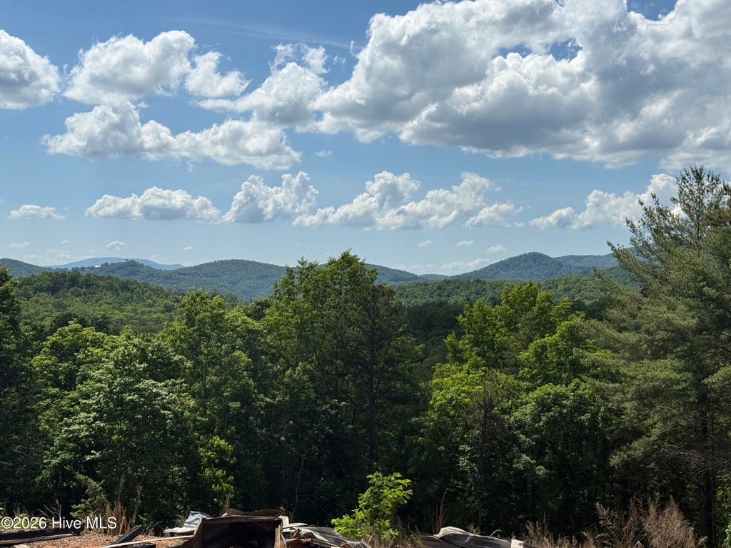 Photo of 82 Cottage Ridge, Murphy, NC 28906 (MLS # 100580487)