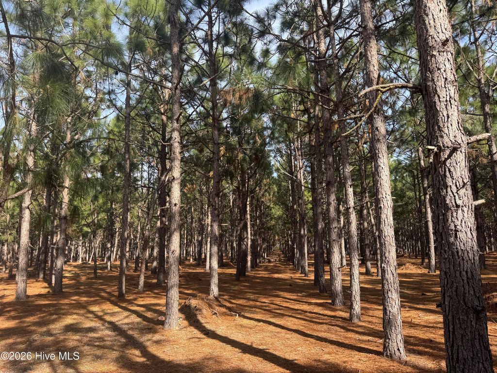 Photo of 0 Butler Mill Road, Bladenboro, NC 28320 (MLS # 100556207)