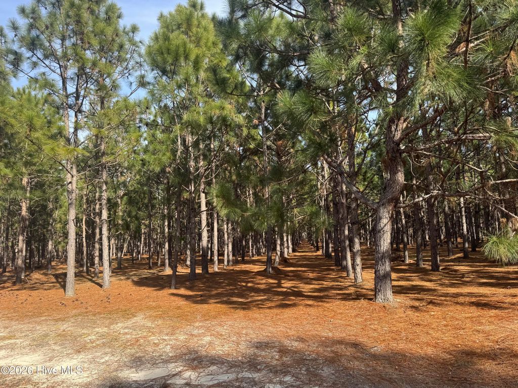 Photo of 0 Butler Mill Road, Bladenboro, NC 28320 (MLS # 100556207)
