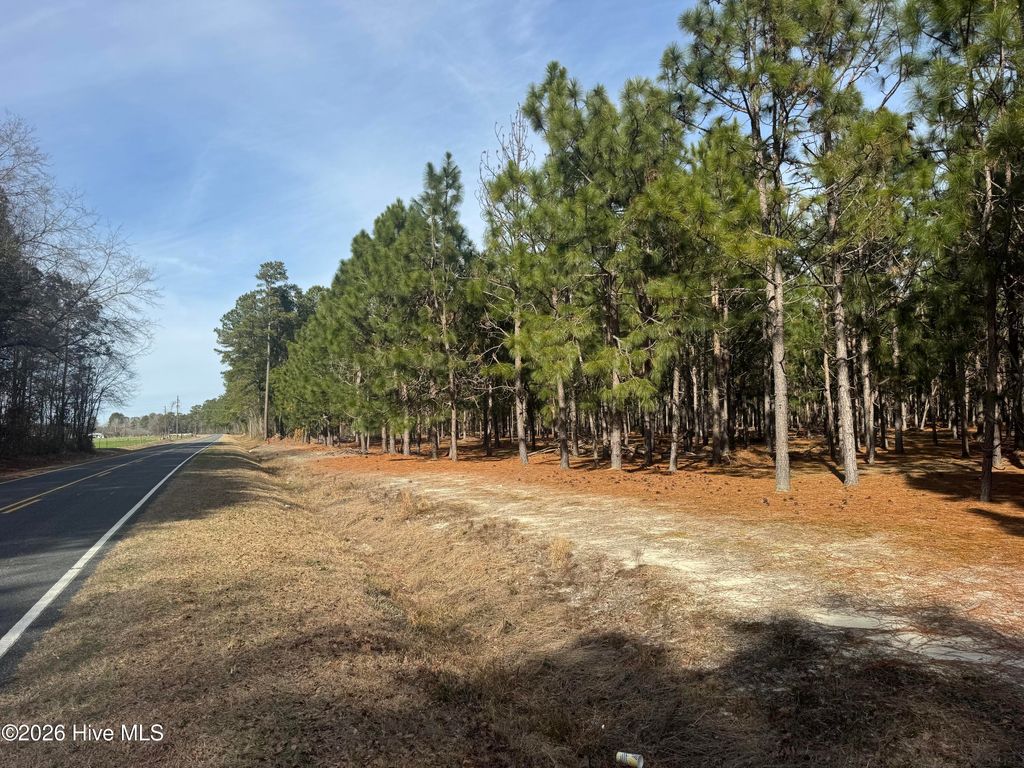 Photo of 0 Butler Mill Road, Bladenboro, NC 28320 (MLS # 100556207)