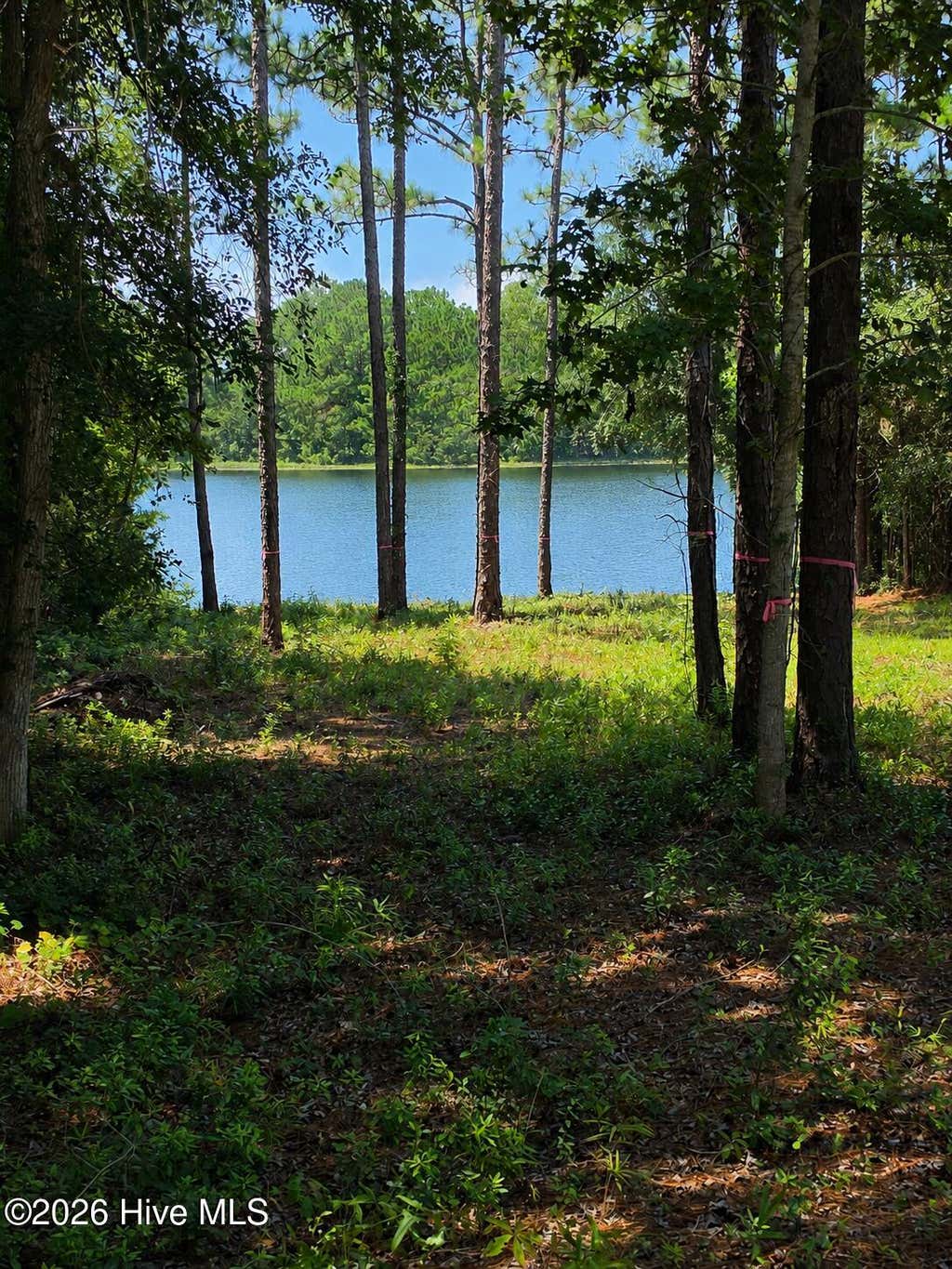 Photo of 44 Pine Shores Drive, Southport, NC 28461 (MLS # 100596865)