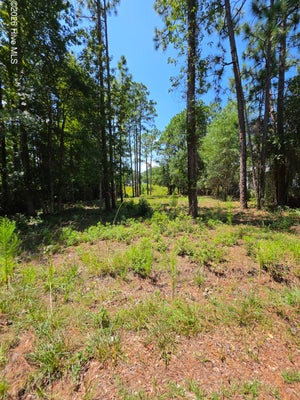 44 PINE SHORES DR, SOUTHPORT, NC 28461 - Image 4cb17d4b5b4b3773ffd688a5f8a2dfe7/2166696266
