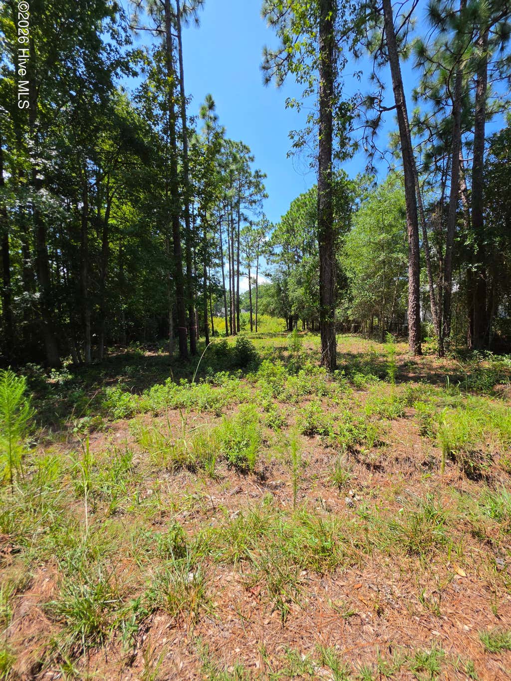 Photo of 44 Pine Shores Drive, Southport, NC 28461 (MLS # 100596865)