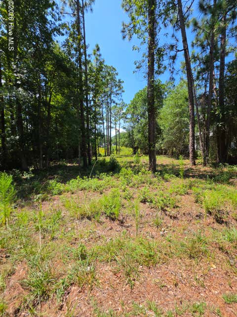 Vacant Land For Sale - 44 Pine Shores Drive<br/> Southport, NC 28461