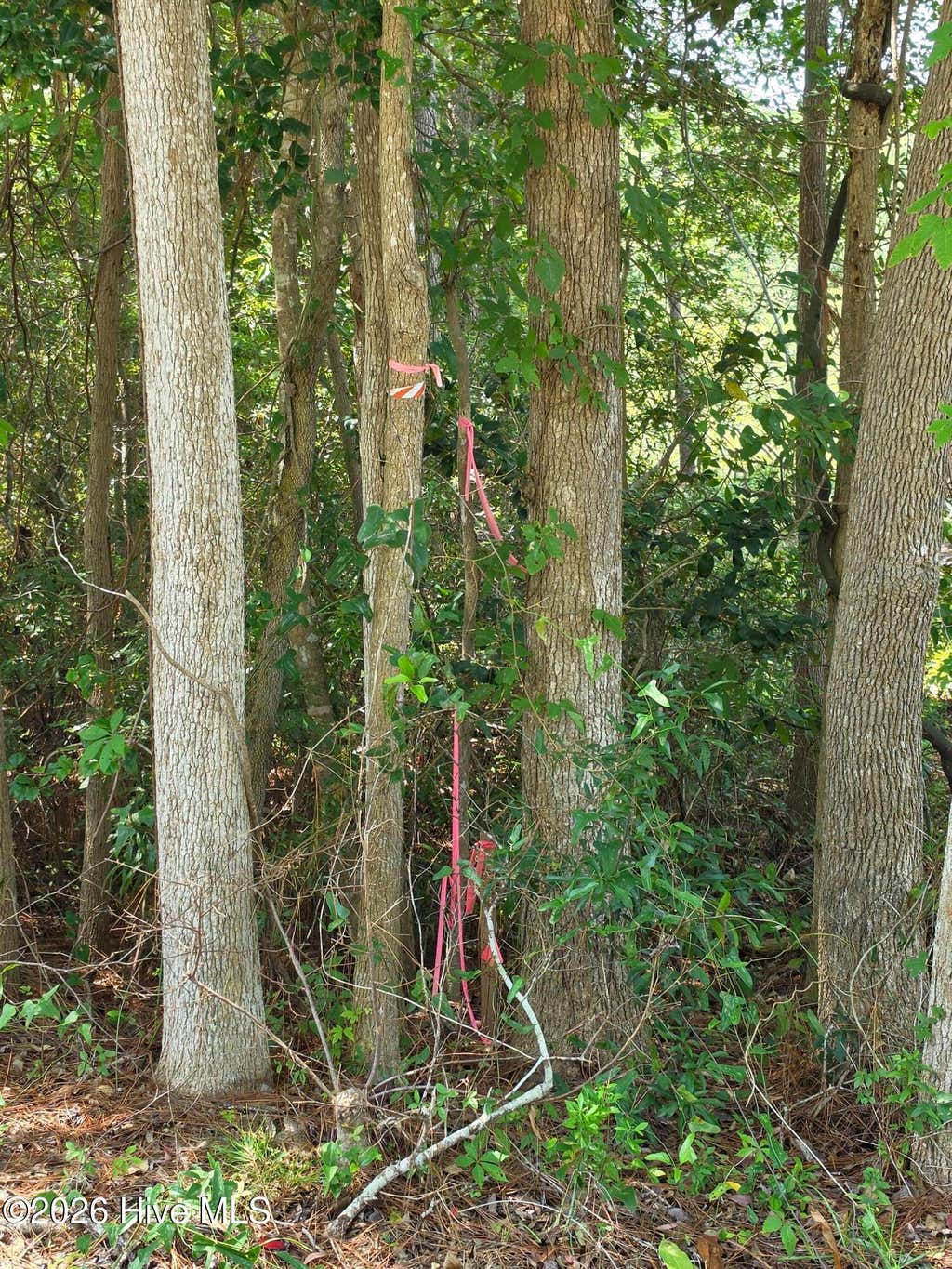 Photo of 44 Pine Shores Drive, Southport, NC 28461 (MLS # 100596865)