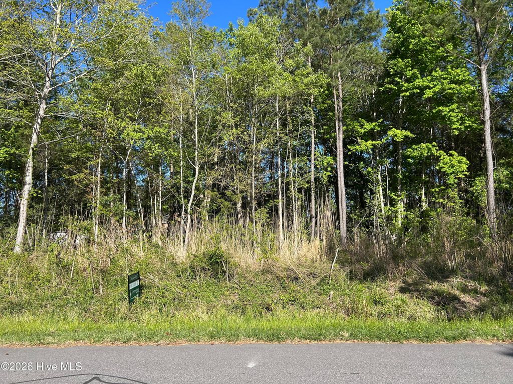 Photo of 511513 White Oak Drive, Edenton, NC 27932 (MLS # 100566558)