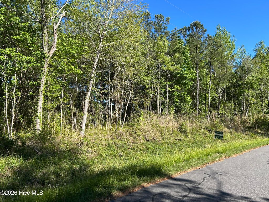 Photo of 511513 White Oak Drive, Edenton, NC 27932 (MLS # 100566558)