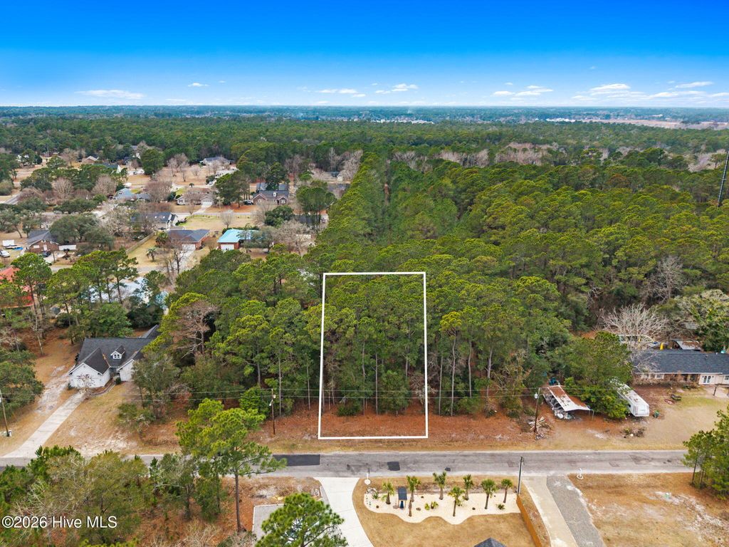 Photo of 2834 Paul Andrew Street SW, Supply, NC 28462 (MLS # 100550801)