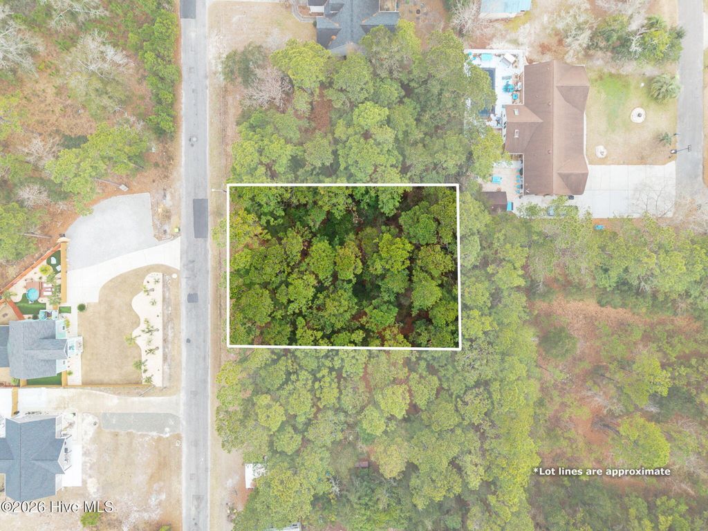 Photo of 2834 Paul Andrew Street SW, Supply, NC 28462 (MLS # 100550801)