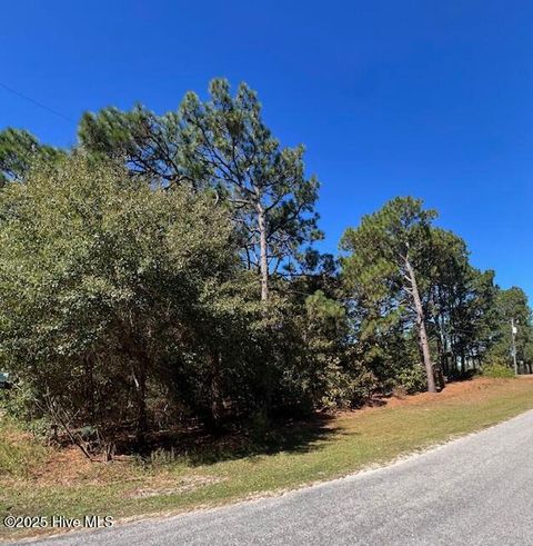 Vacant Land For Sale - TBD Cloud Avenue<br/> Hamlet, NC 28345