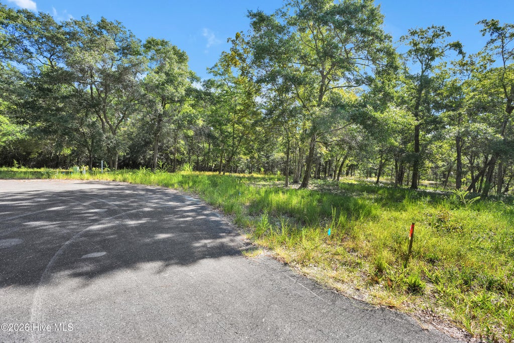 Photo of 3447 Bassett Street SW, Shallotte, NC 28470 (MLS # 100604267)